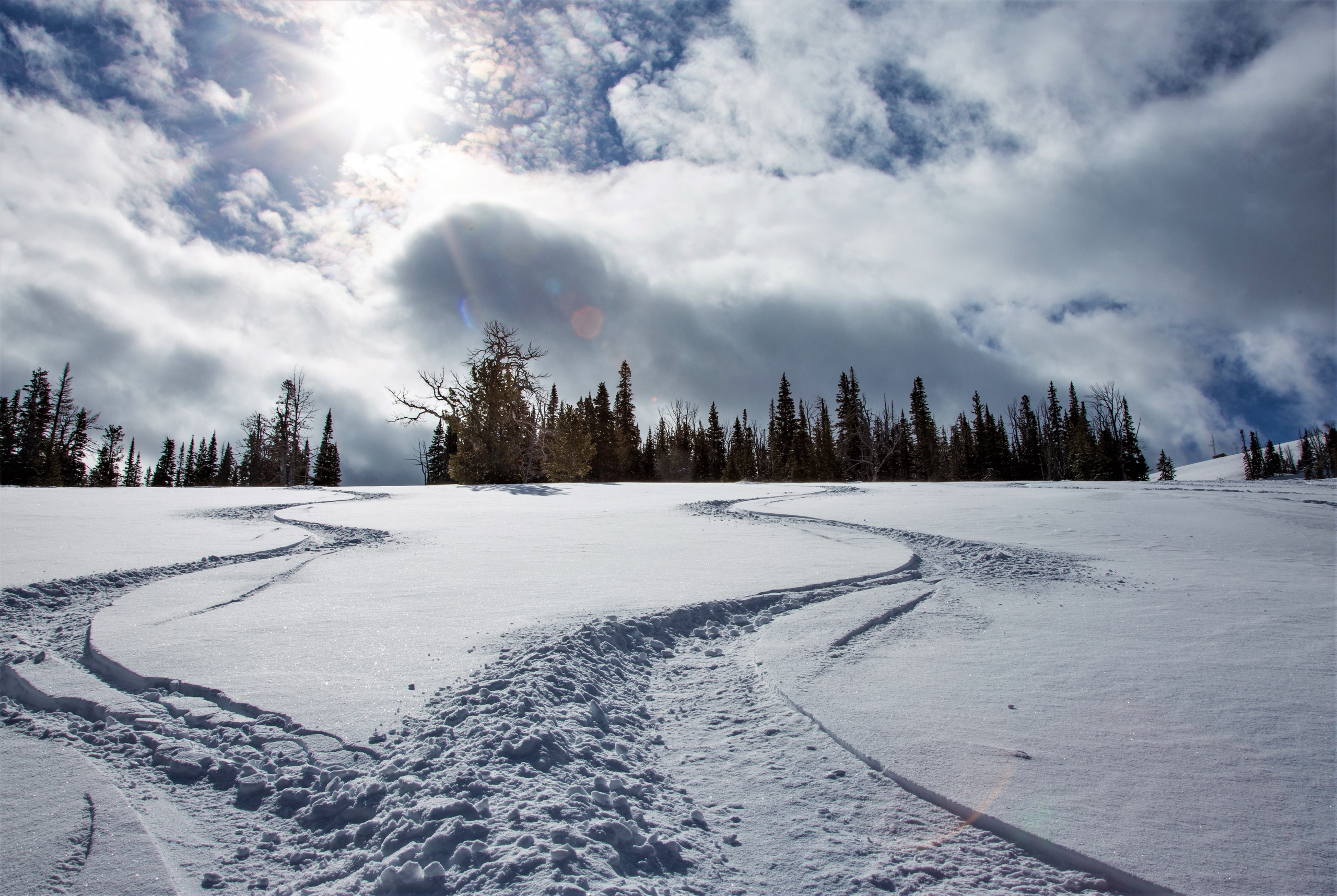 Two fresh ski tracks through the powder